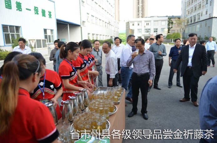 湖北代省长考察金祈藤茶&ldquo;精准扶贫&rdquo;示范工作2