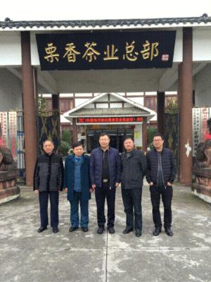 蒙顶山茶叶交易所总裁傅元森赴贵州省遵义市调研茶产业