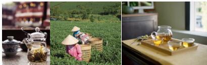 茶产业转型升级风口，茶品汇引领行业&ldquo;新零售&rdquo;变革