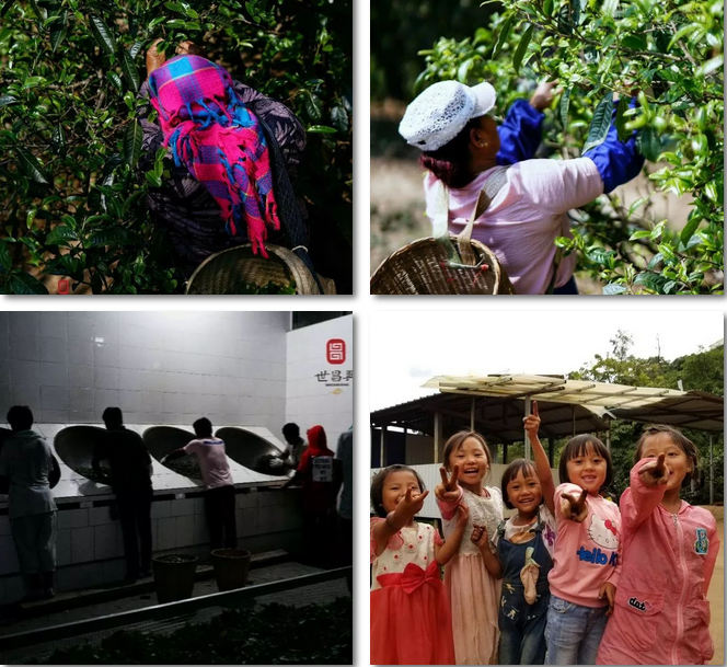 1534396685311793.png 图片8.png