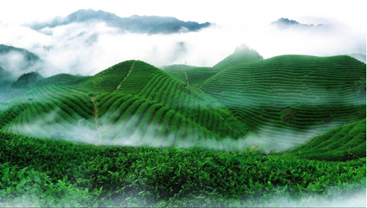 金华百度推广_义乌百度推广_东阳百度推广_金华网站推广_金华网络推广_金华网站建设_金华网站优化_金华网络公司_金华app开发_金华网站优化_金华网络营销_金华网站开发_金华seo公司_金华微信朋友圈广告_金华优化公司_金华百度优化_金华品牌推广_金华百度排名_金华整合营销_金华百度霸屏_浙江百度运营中心_金华市激石信息技术有限公司