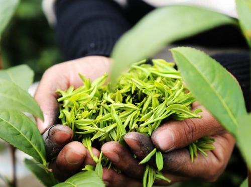 u=4240899952,1267874771&fm=26&gp=0