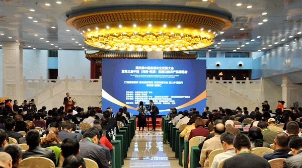 图片4