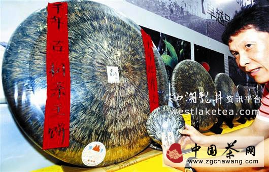 2013武汉国际茶业博览会刮起一股&ldquo;黑旋风&rdquo;