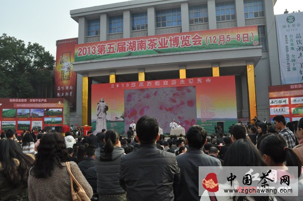 一年一度的第五届湖南茶业博览会在省展览馆开幕。
