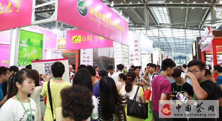 华巨臣旗下茶博会现场图