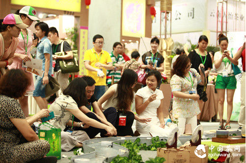 青岛茶博会曲水流觞