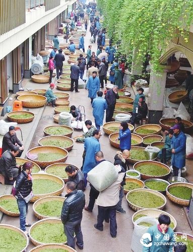 第九届新昌大佛龙井茶文化节举行