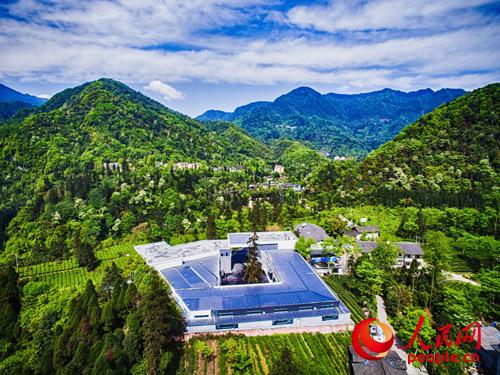 峨眉山有机生态茶园茶之旅体验基地
