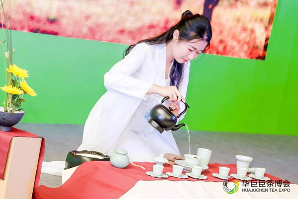 茶艺师 泡茶 茶博会