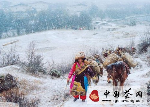 茶马古道 沧桑岁月留痕(散文)