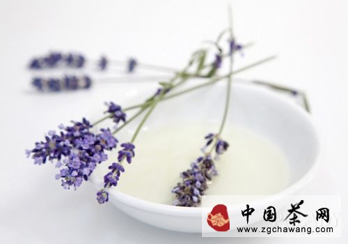 白茶的功效作用与禁忌