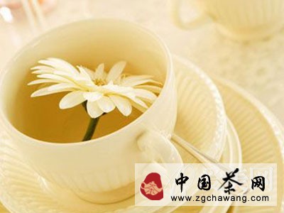  清肝明目降血压 淡雅菊花养生功效强大 