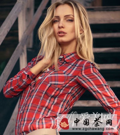  清肝明目降血压 淡雅菊花养生功效强大 