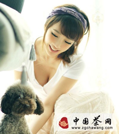  清肝明目降血压 淡雅菊花养生功效强大 