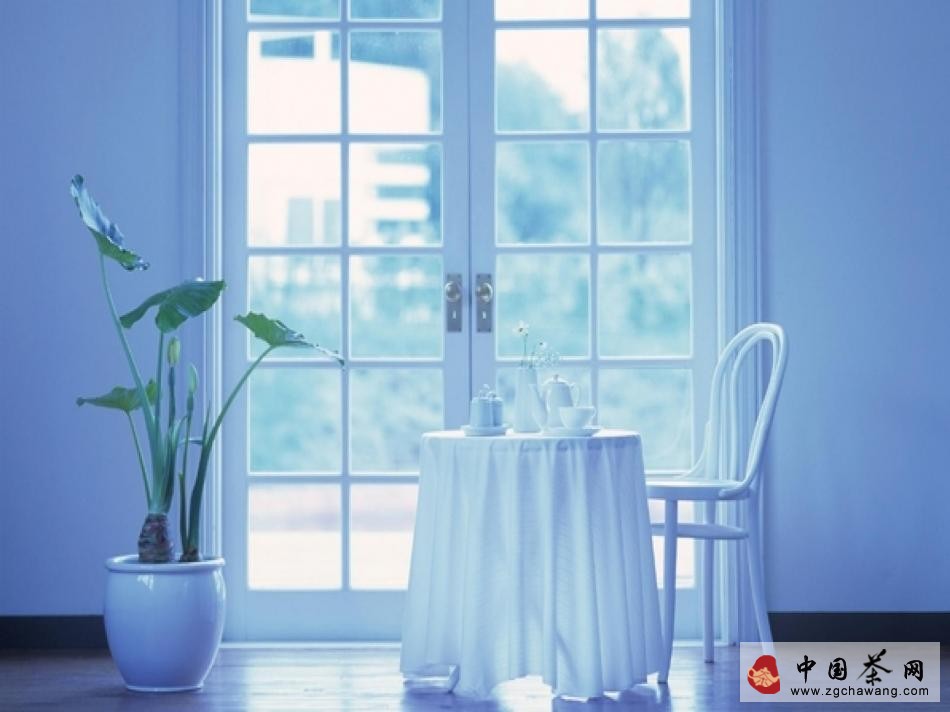 茶悟新茗似冰心