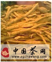 怎样鉴别牛蒡茶的优劣