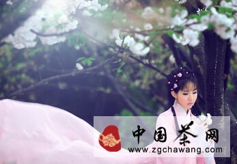 烟行媚视 少女艳茶 你品过吗？