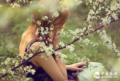 QQ截图20140821152531